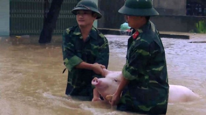 ตายแล้ว37 เวียดนาม วิกฤติน้ำท่วมหนัก