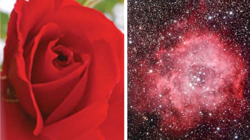 สดร.ส่ง"ดอกกุหลาบแห่งเอกภพ"ให้จักรวาลบอกรักแทนใจ