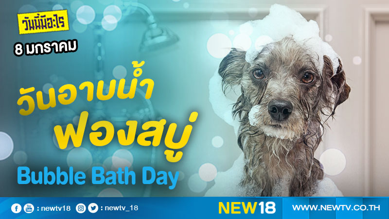วันนี้มีอะไร: 8 มกราคม  วันอาบน้ำฟองสบู่ (Bubble Bath Day)