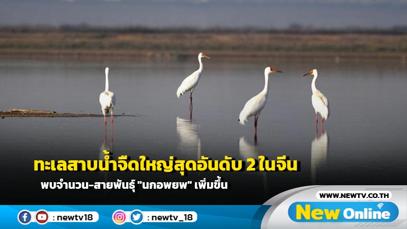 ทะเลสาบน้ำจืดใหญ่สุดอันดับ 2 ในจีน พบจำนวน-สายพันธุ์ "นกอพยพ" เพิ่มขึ้น