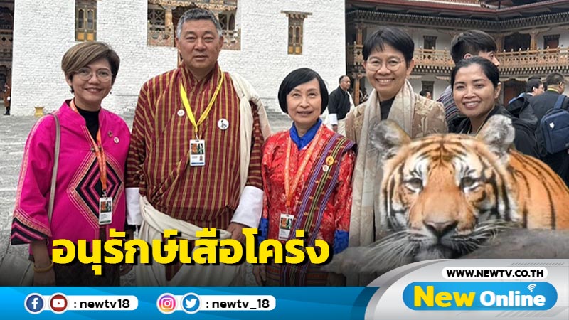 ต่างชาติยกย่องไทยอนุรักษ์ "เสือโคร่ง"