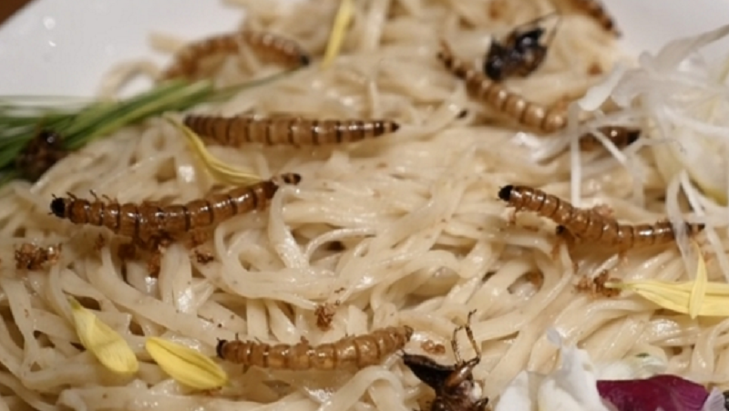 ชาวญี่ปุ่นแห่ชิมราเม็งหน้าแมลง