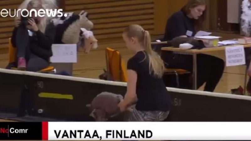 ฟินแลนด์จัดแข่งขี่ม้าของเล่น