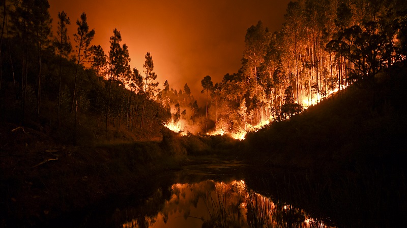 ไฟไหม้ป่าโปรตุเกสเสียชีวิตหลายสิบศพ