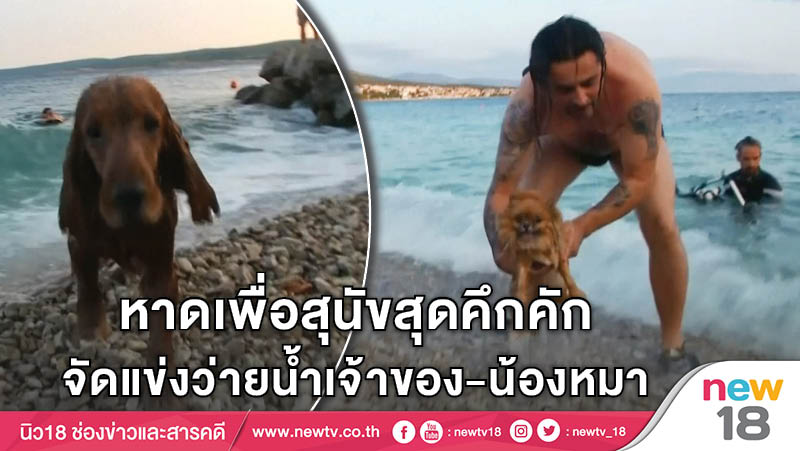 หาดเพื่อสุนัขสุดคึกคัก จัดแข่งว่ายน้ำเจ้าของ-น้องหมา 