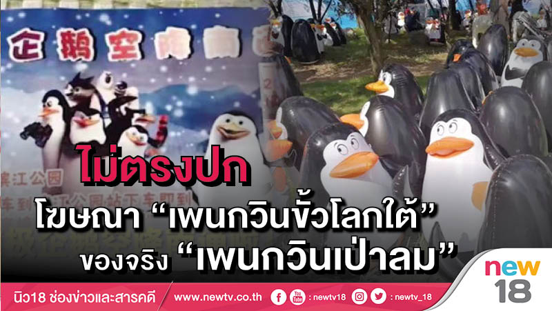 ไม่ตรงปก โฆษณา “เพนกวินขั้วโลกใต้” ของจริง “เพนกวินเป่าลม”