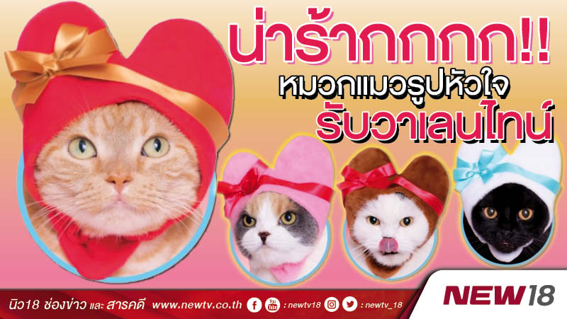 น่ารัากกกก!! หมวกแมวรูปหัวใจ รับวาเลนไทน์