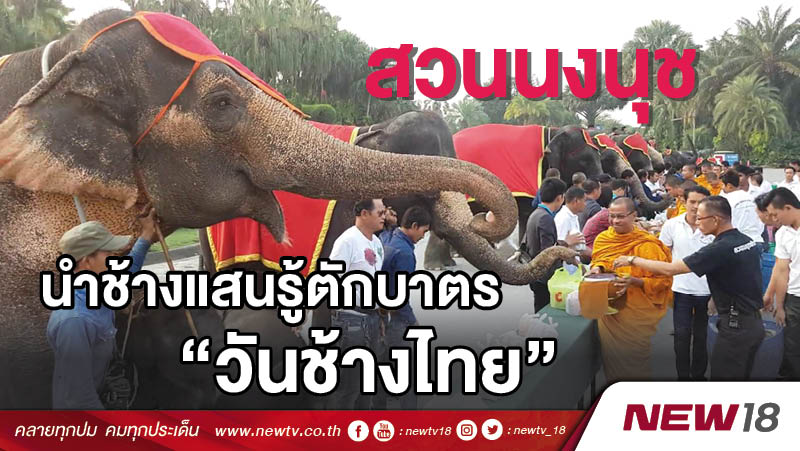 สวนนงนุชนำช้างแสนรู้ตักบาตร “วันช้างไทย” 