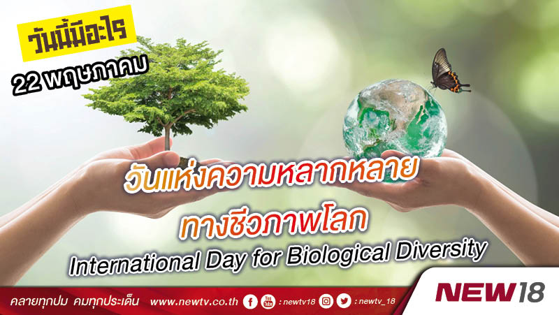วันนี้มีอะไร: 22 พฤษภาคม  วันแห่งความหลากหลายทางชีวภาพโลก (International Day for Biological Diversity)