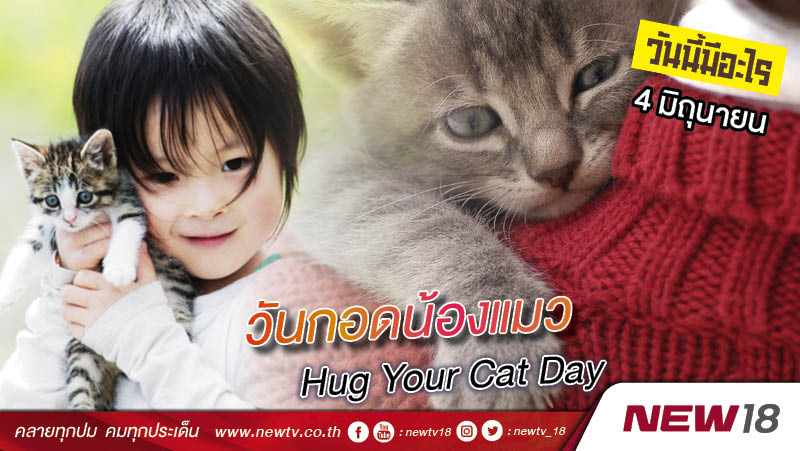 วันนี้มีอะไร: 4 มิถุนายน วันกอดน้องแมว (Hug Your Cat Day)