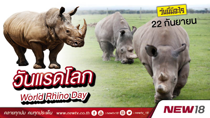 วันนี้มีอะไร: 22 กันยายน วันแรดโลก (World Rhino Day)