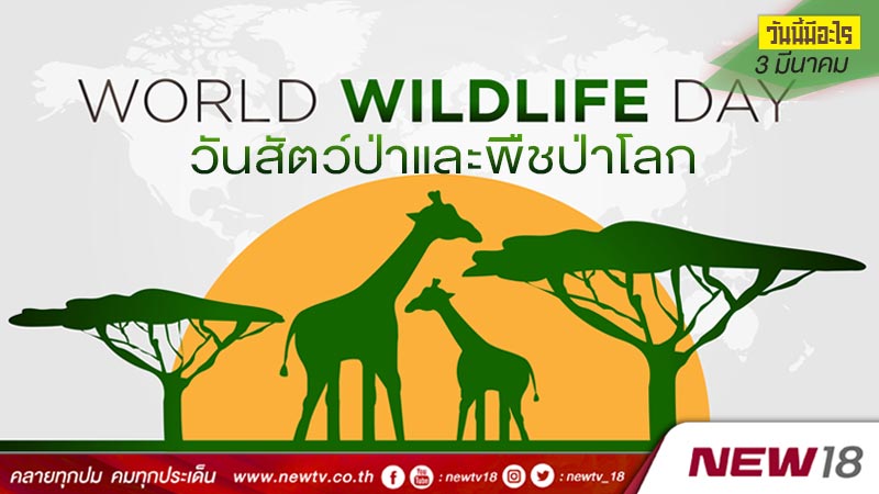 วันนี้มีอะไร: 3 มีนาคม  วันสัตว์ป่าและพืชป่าโลก (World Wildlife Day)