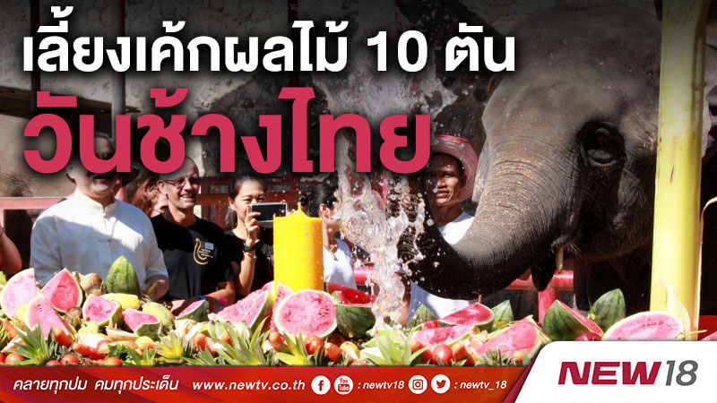 เลี้ยงเค้กผลไม้ 10 ตันวันช้างไทย