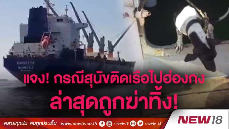 แจง! กรณีสุนัขติดเรือไปฮ่องกง ล่าสุดถูกฆ่าทิ้ง!