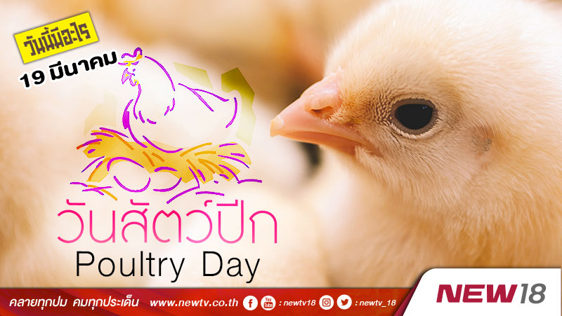 วันนี้มีอะไร: 19 มีนาคม  วันสัตว์ปีก (Poultry Day)