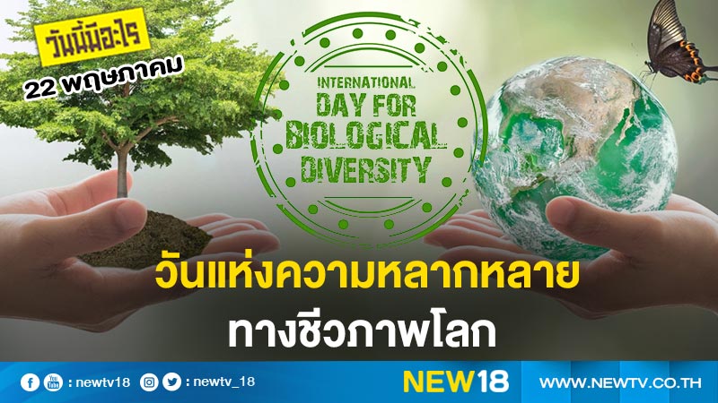 วันนี้มีอะไร: 22 พฤษภาคม  วันแห่งความหลากหลายทางชีวภาพโลก (International Day for Biological Diversity)