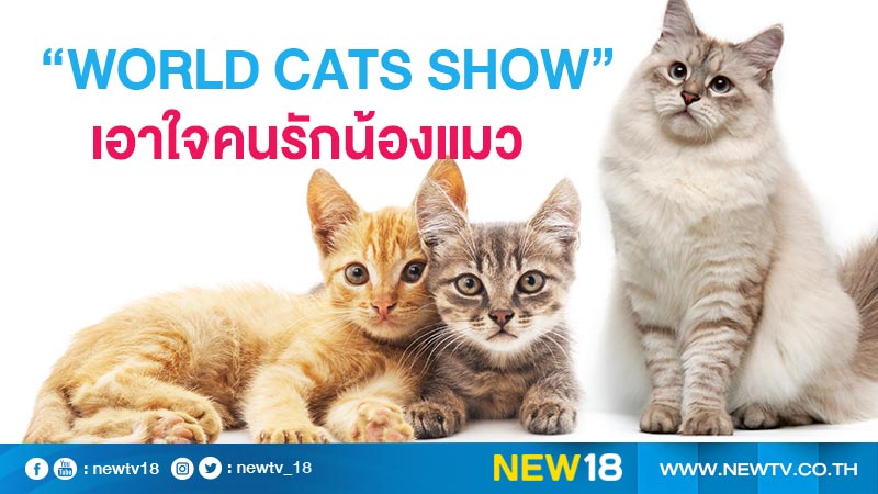  “WORLD CATS SHOW” เอาใจคนรักน้องแมว