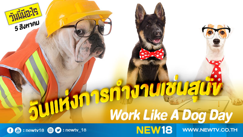 วันนี้มีอะไร: 5 สิงหาคม  วันแห่งการทำงานเช่นสุนัข (Work Like A Dog Day) 