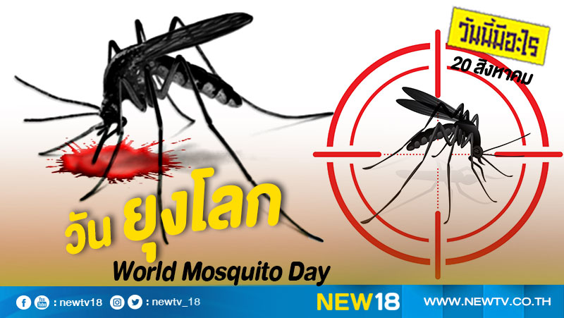 วันนี้มีอะไร: 20 สิงหาคม  วันยุงโลก (World Mosquito Day)