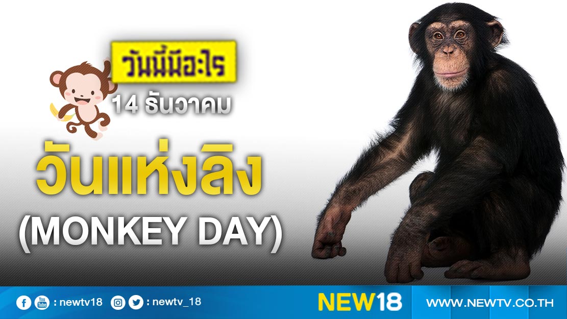 วันนี้มีอะไร: 14 ธันวาคม  วันแห่งลิง (Monkey Day)
