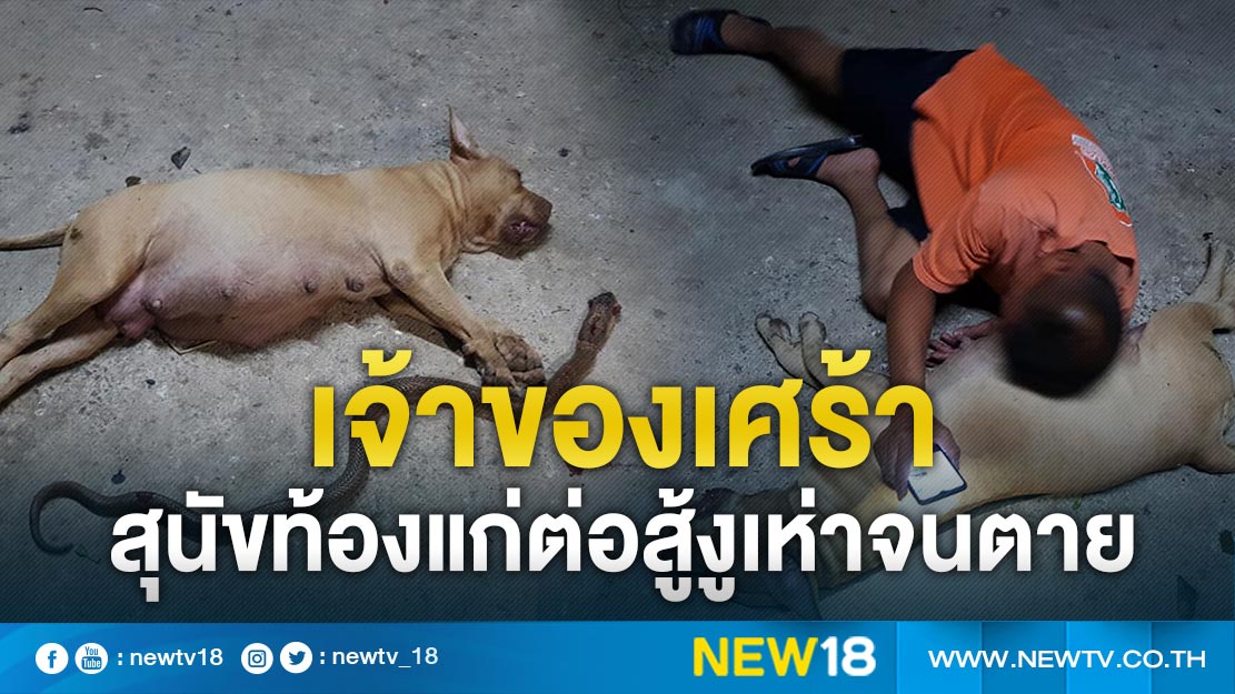 เจ้าของเศร้าสุนัขท้องแก่ต่อสู้งูเห่าจนตาย 