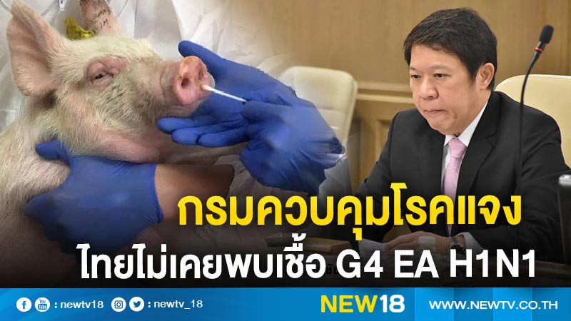 กรมควบคุมโรคแจงไทยไม่เคยพบเชื้อ G4 EA H1N1  