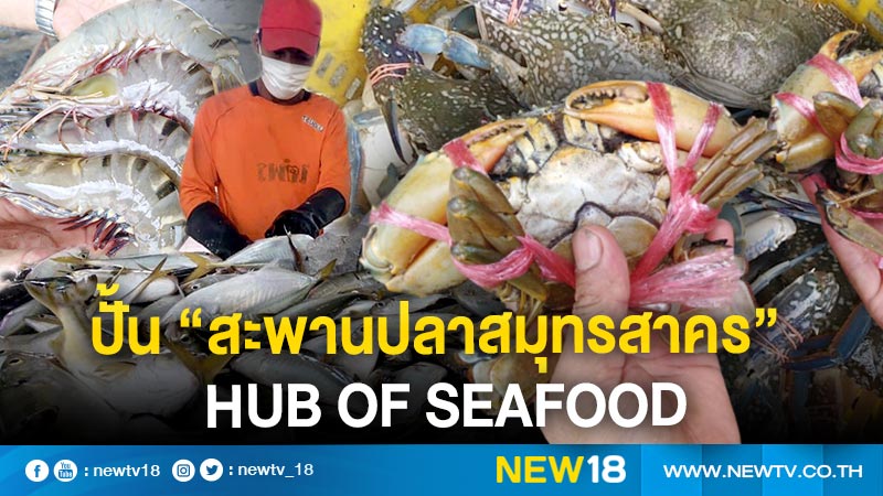 อสป.เปิดแผนพัฒนาสะพานปลาและท่าเทียบเรือประมง เล็งปั้น “สะพานปลาสมุทรสาคร” เป็น  Hub of Seafood