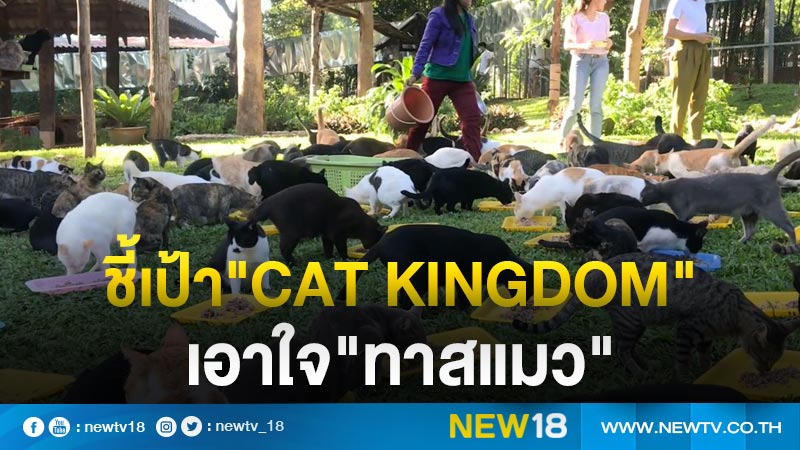 "cat kingdom"แหล่งท่องเที่ยวใหม่เอาใจ"ทาสแมว" (คลิป)