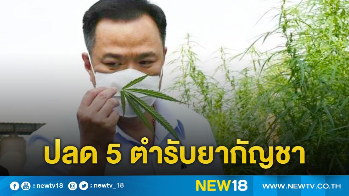 ปลด 5 ตำรับยากัญชาแผนไทยจากบัญชีตำรับยาเสพติด
